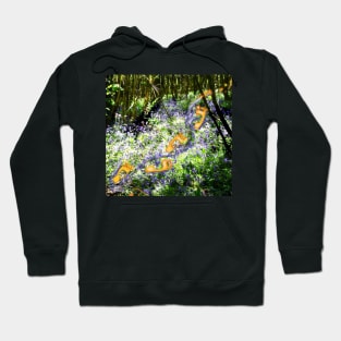 Footprints in a Bluebell Wood Hoodie